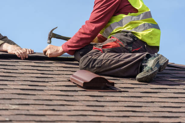 Best Roof Gutter Cleaning  in Arcadia, SC