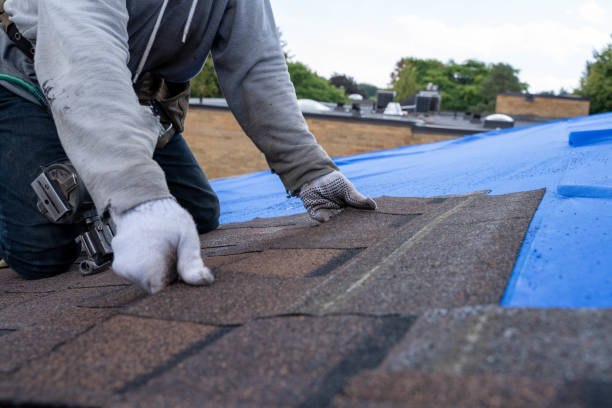 Quick and Trustworthy Emergency Roof Repair Services in Arcadia, SC